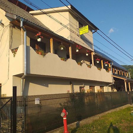 Pensiunea Casa Maria Viseu de Sus Ngoại thất bức ảnh
