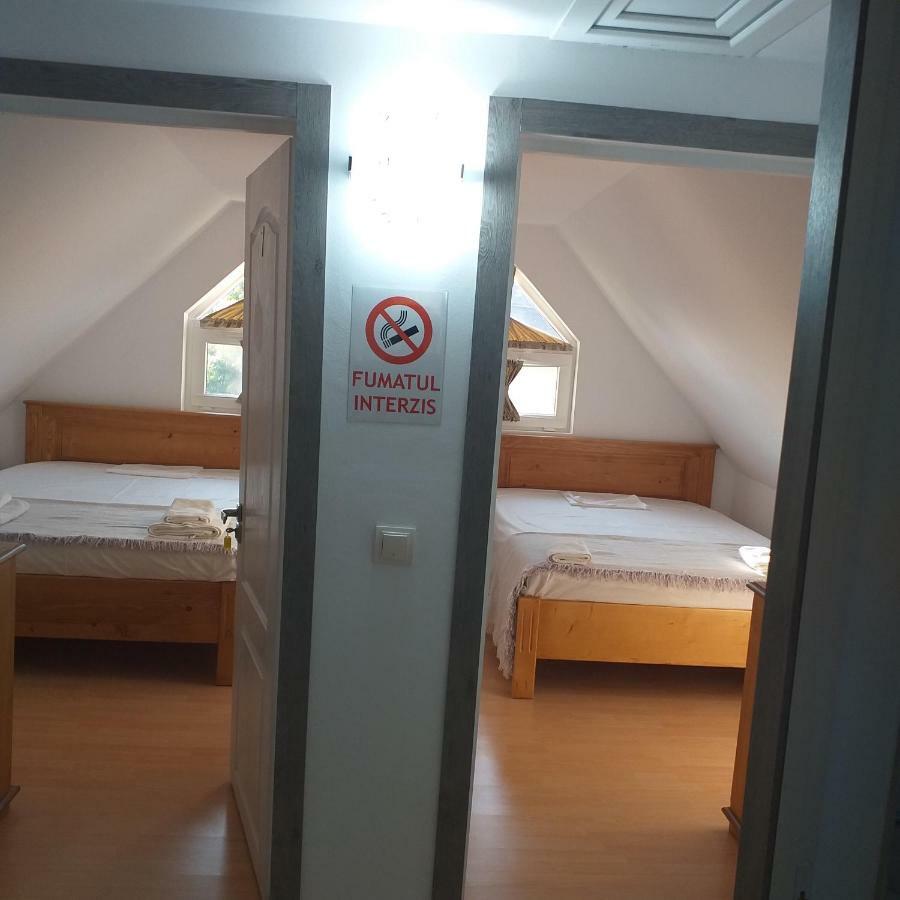 Pensiunea Casa Maria Viseu de Sus Ngoại thất bức ảnh
